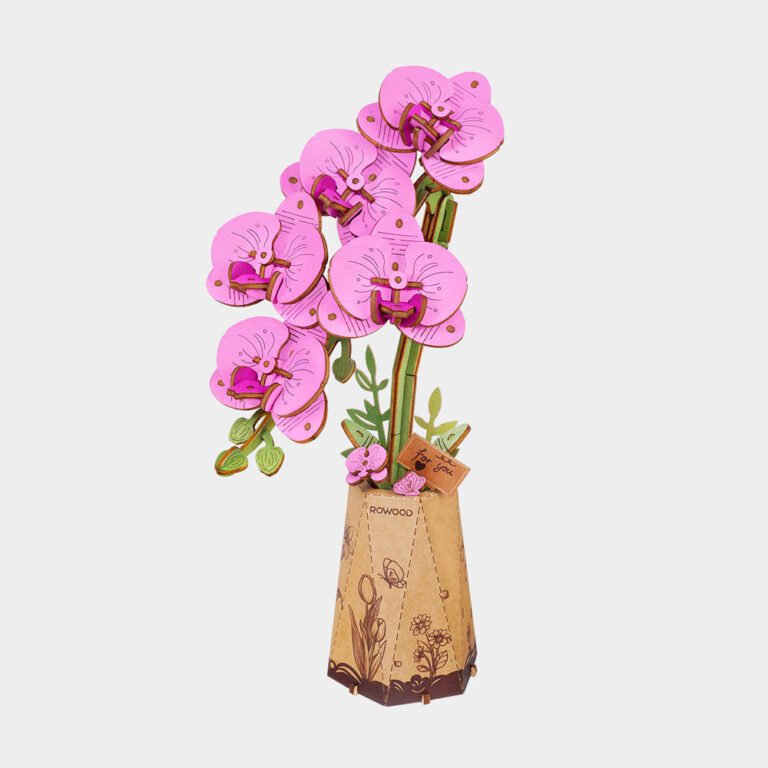 6946785124262 1 Purple Moth Orchid.jpg